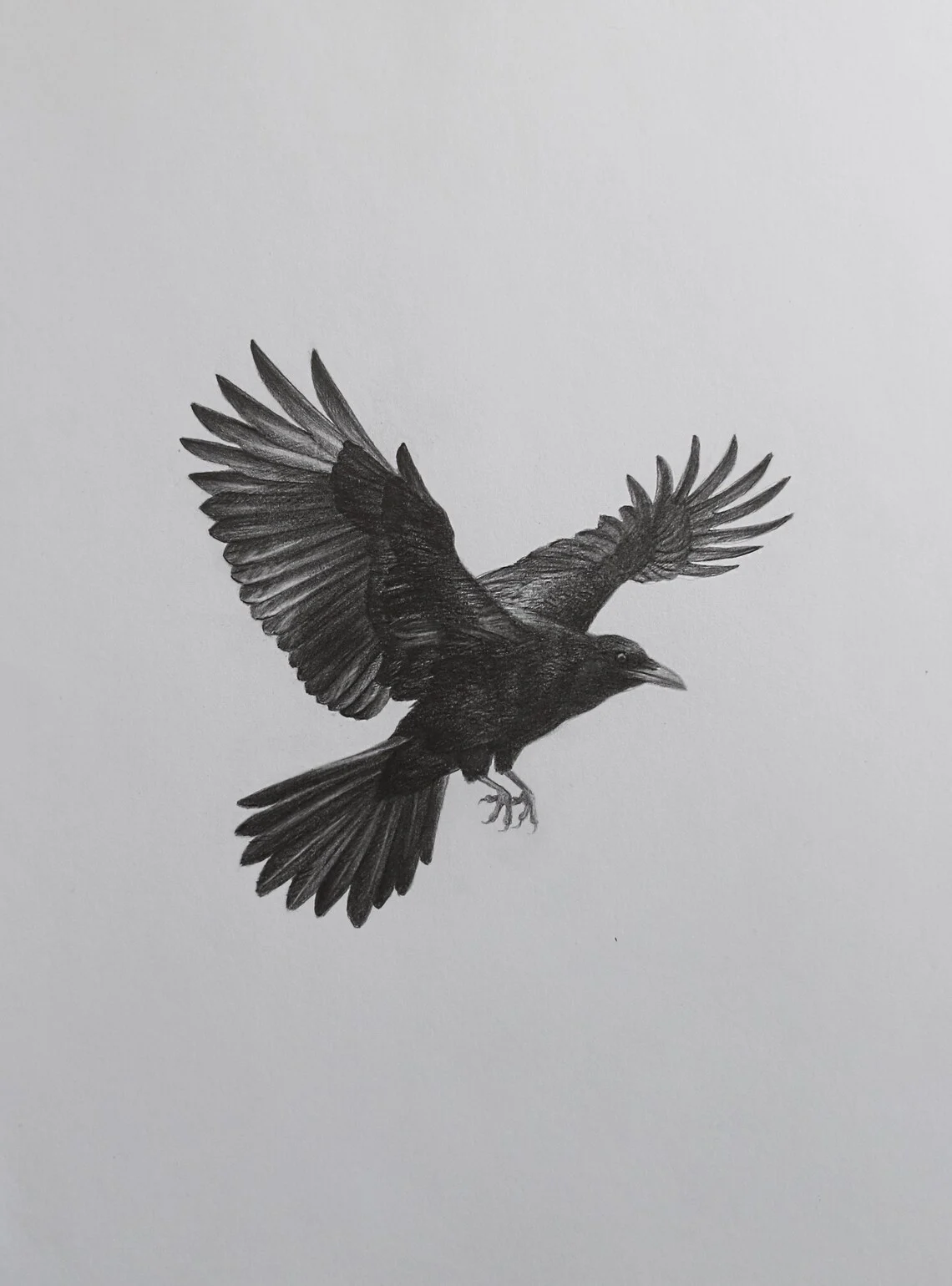Flight of the Raven – Graphite Drawing