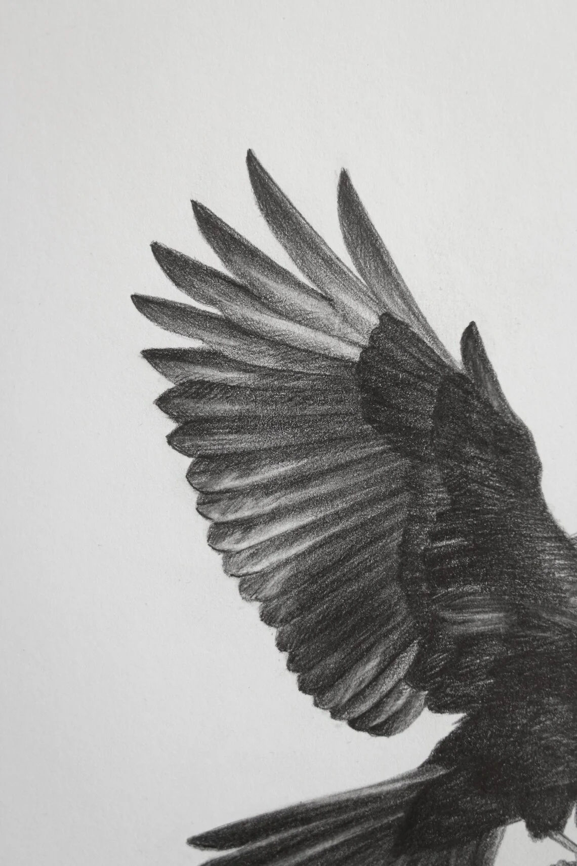 Flight of the Raven – Graphite Drawing