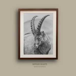This original pencil drawing depicts a powerful Capricorn mountain goat, symbol of strength, resilience, and determination. Created with graphite pencils on paper, the artwork captures the fine textures of fur and the majestic curve of the horns in realistic detail.