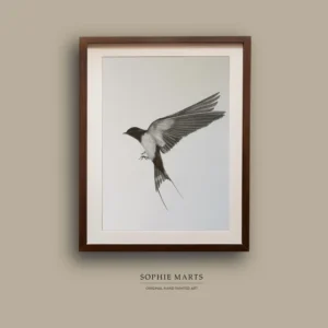 Framed Swallow Drawing