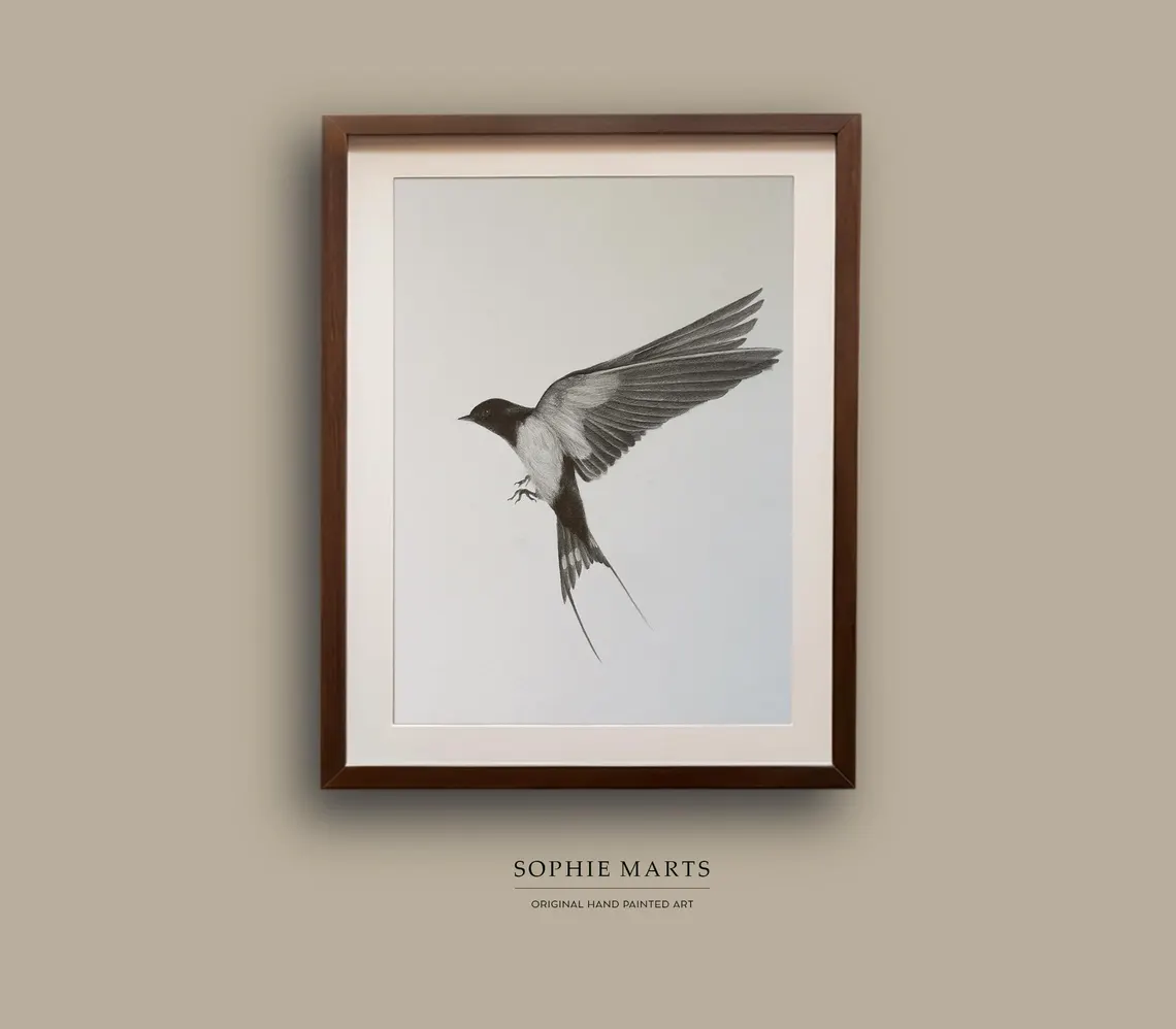 Framed Swallow Drawing