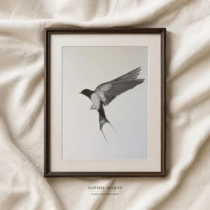 Swallow Pencil Drawing