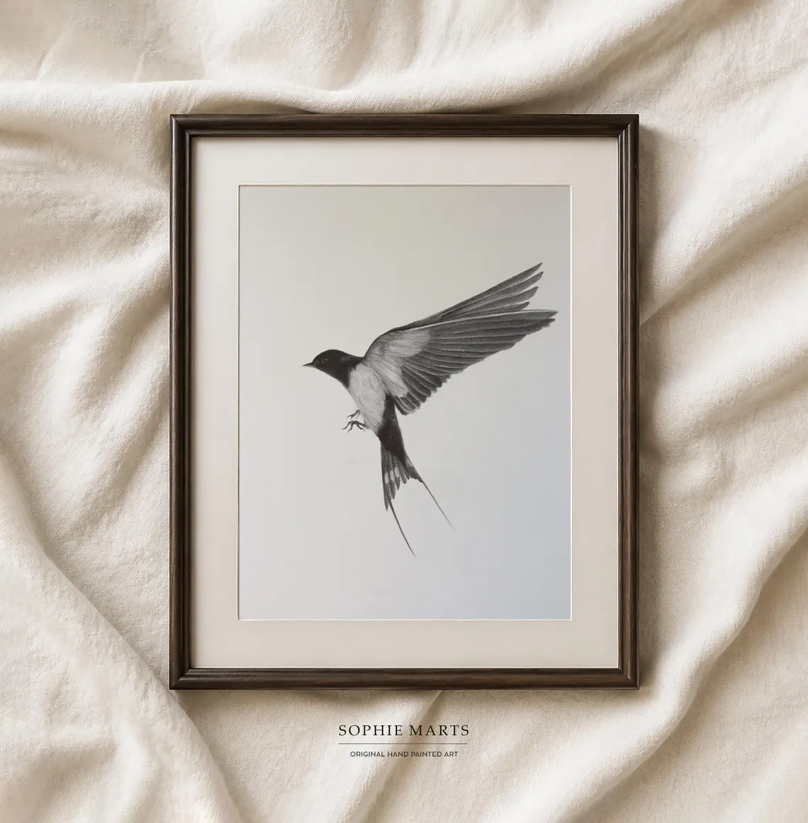 Swallow Pencil Drawing