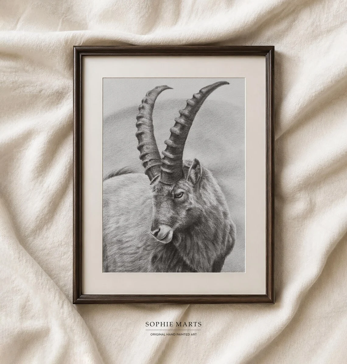 Original Alpine ibex pencil drawing, realistic graphite wildlife portrait A4 framed by Sophie Marts