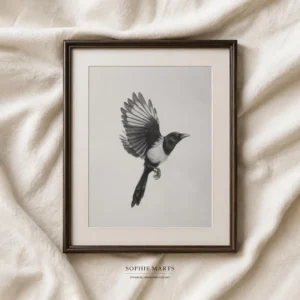 Magpie Graphite Drawing