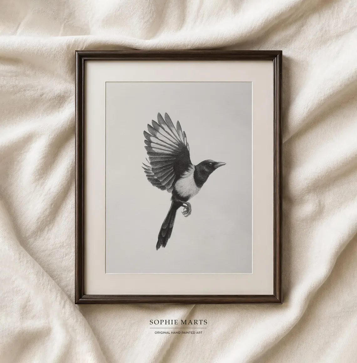 Magpie Graphite Drawing