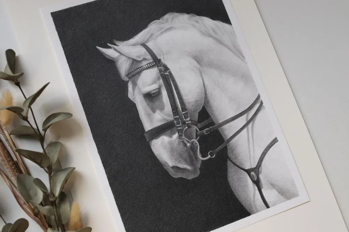 Realistic Horse Pencil Drawing