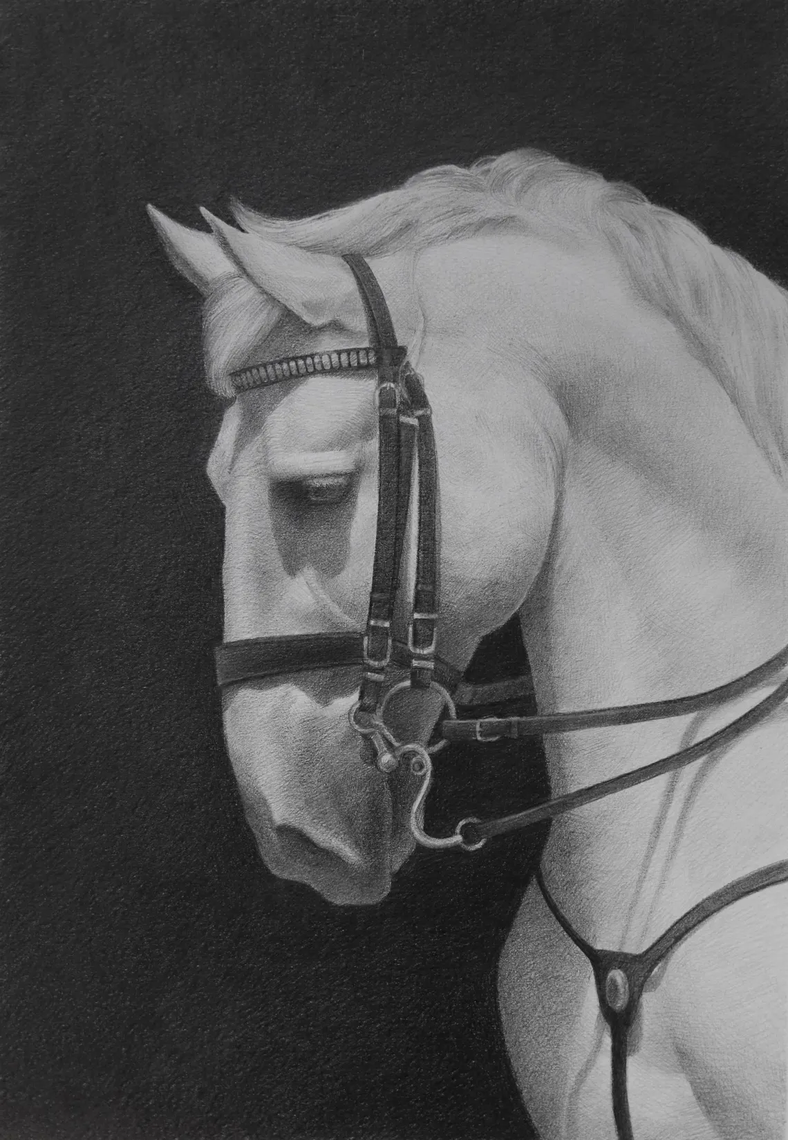 Realistic Horse Pencil Drawing