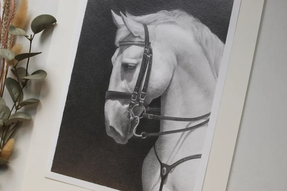 Realistic Horse Pencil Drawing