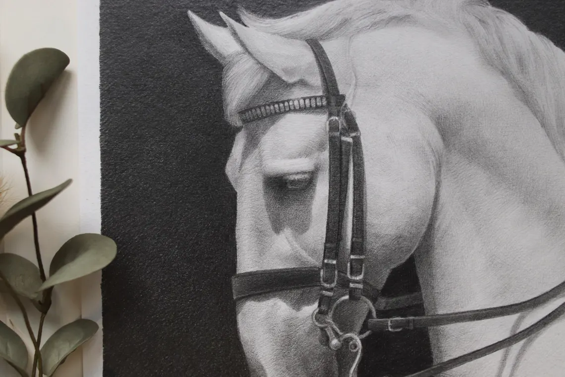 Realistic Horse Pencil Drawing
