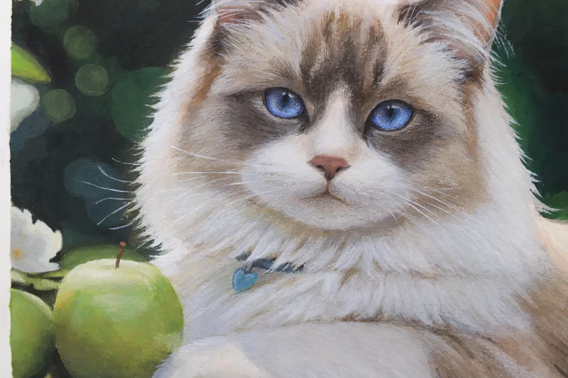 Close-up of luminous blue eyes in ragdoll cat acrylic portrait, realistic fur detail