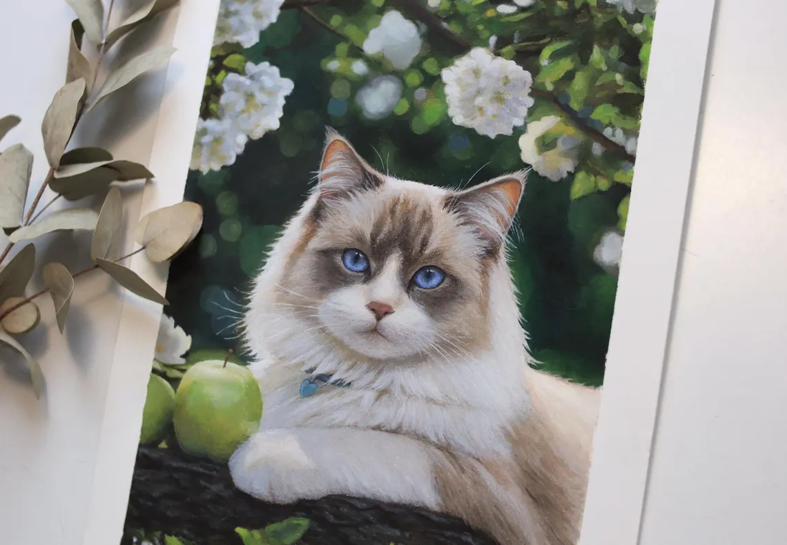 Framed blue eyed ragdoll cat acrylic painting 21x29cm, original pet portrait wall decor