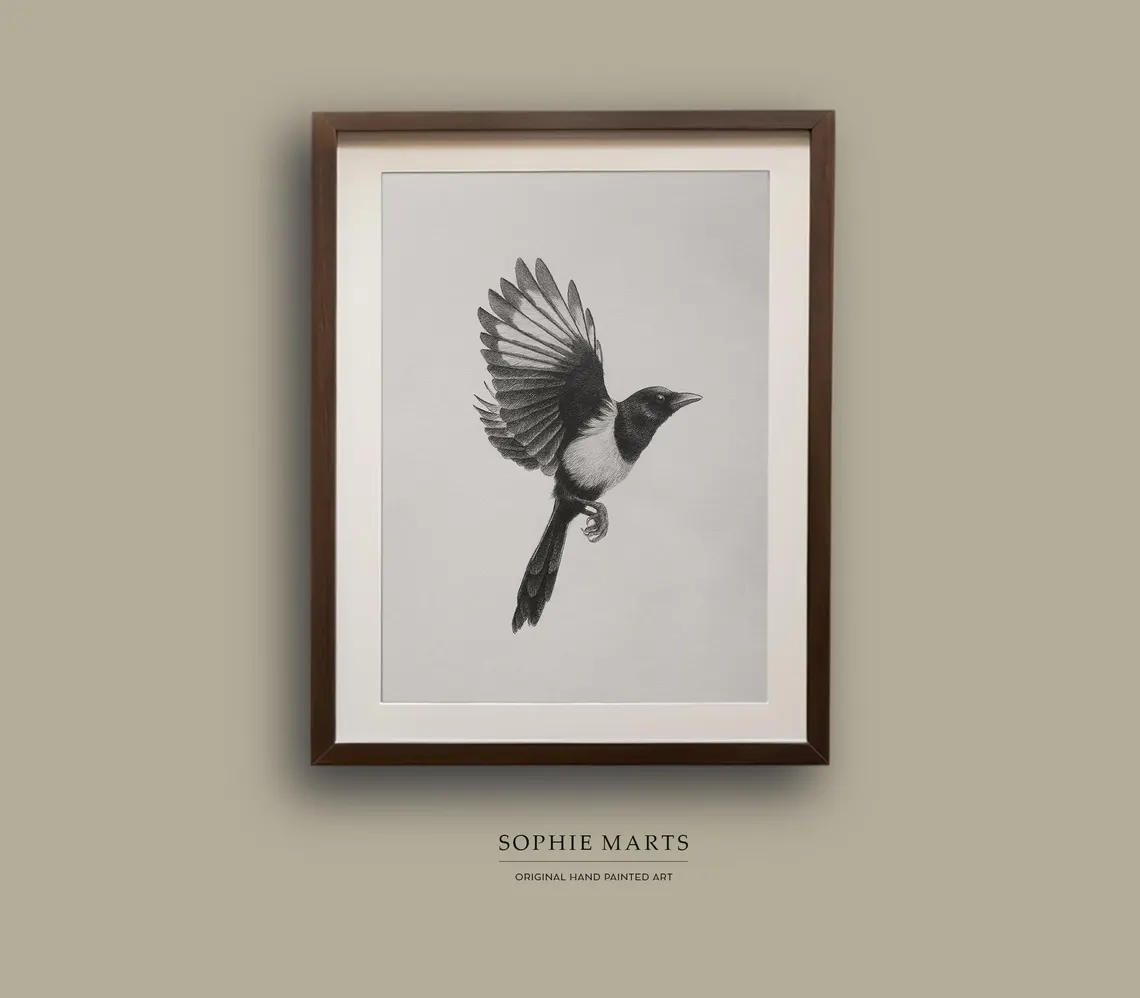 Magpie Pencil Drawing