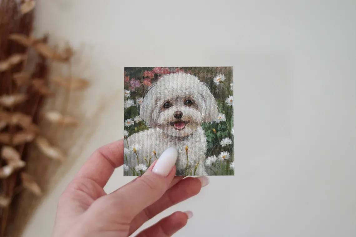 Fluffy White Dog Miniature