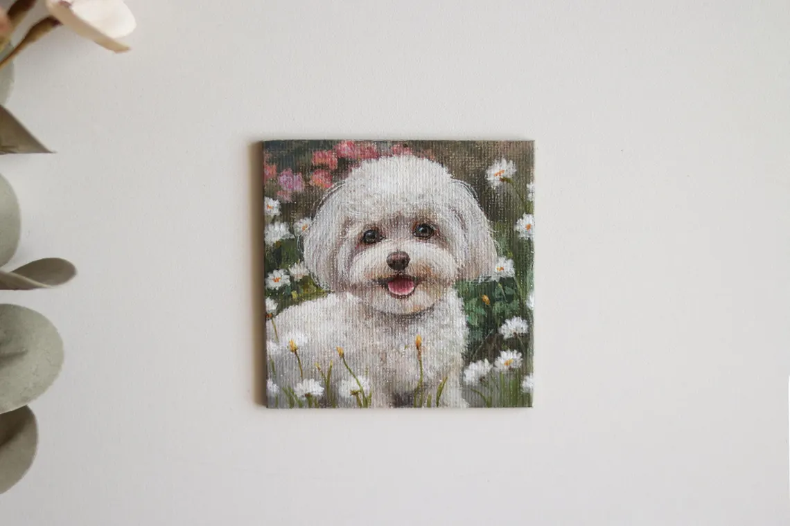 Fluffy White Dog Miniature