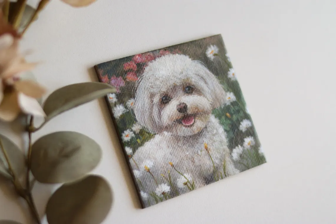 Fluffy White Dog Miniature