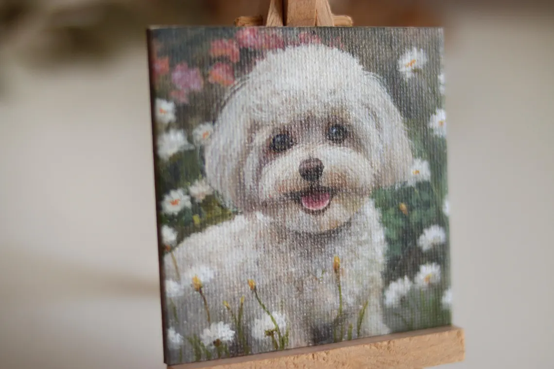 Fluffy White Dog Miniature