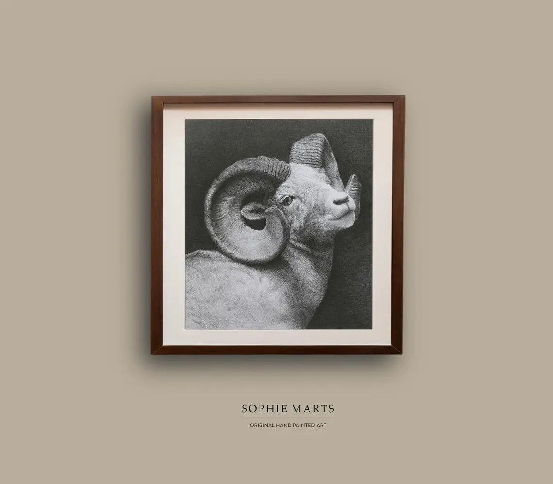 Original Bighorn Ram Drawing