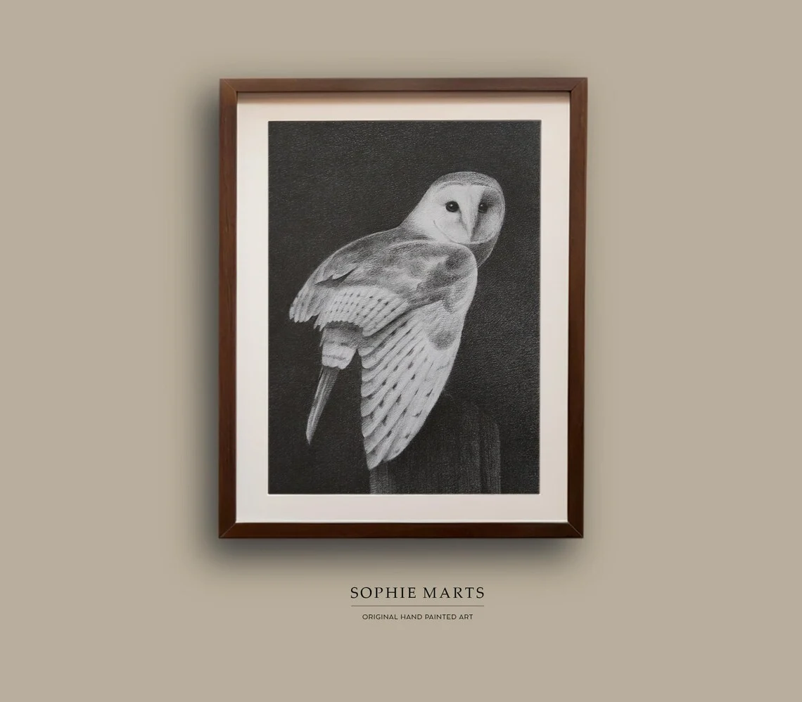 Barn Owl Graphite Drawing