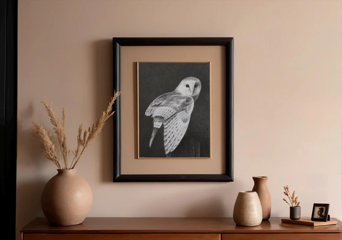 Barn Owl Drawing – Graphite Pencil Art