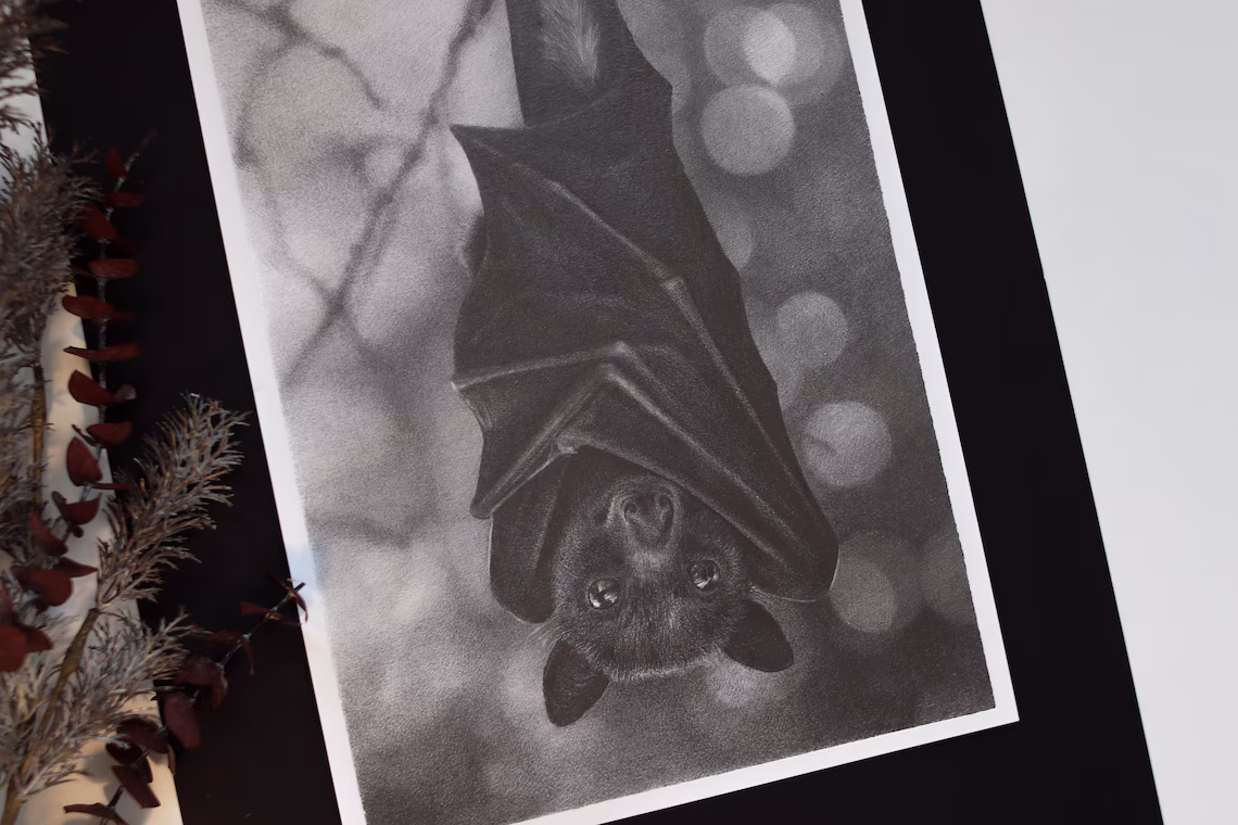 Original Bat Pencil Drawing